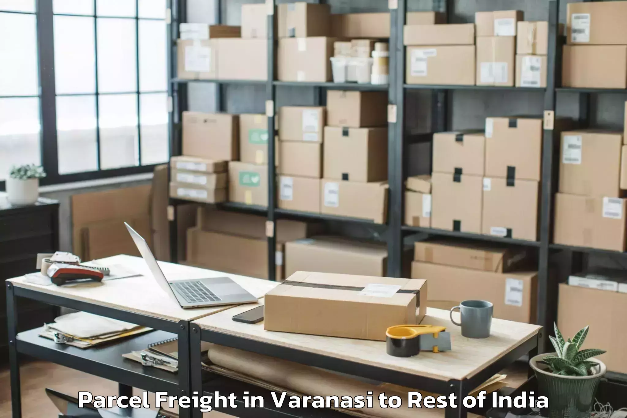 Book Varanasi to Dooru Parcel Freight